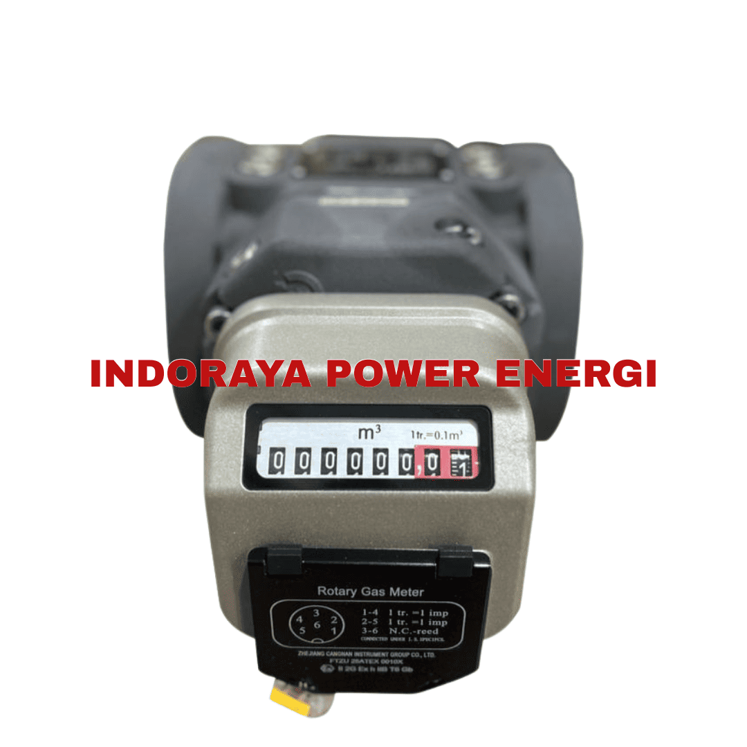 Rotary Gas Flowmeter Cangnan RM-25-G16-ANSI150