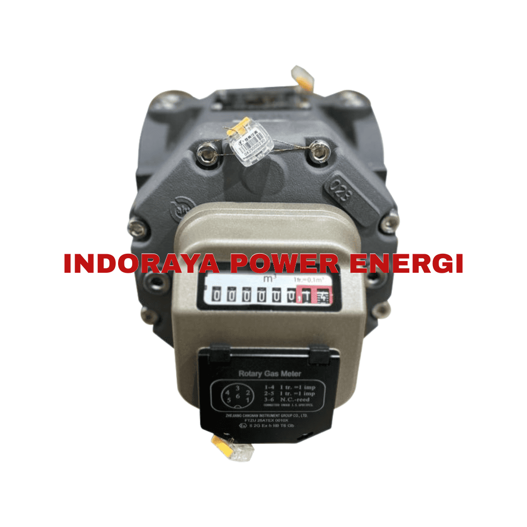 Rotary Gas Flowmeter Cangnan 1.5 Inch ANSI150 | RM-40