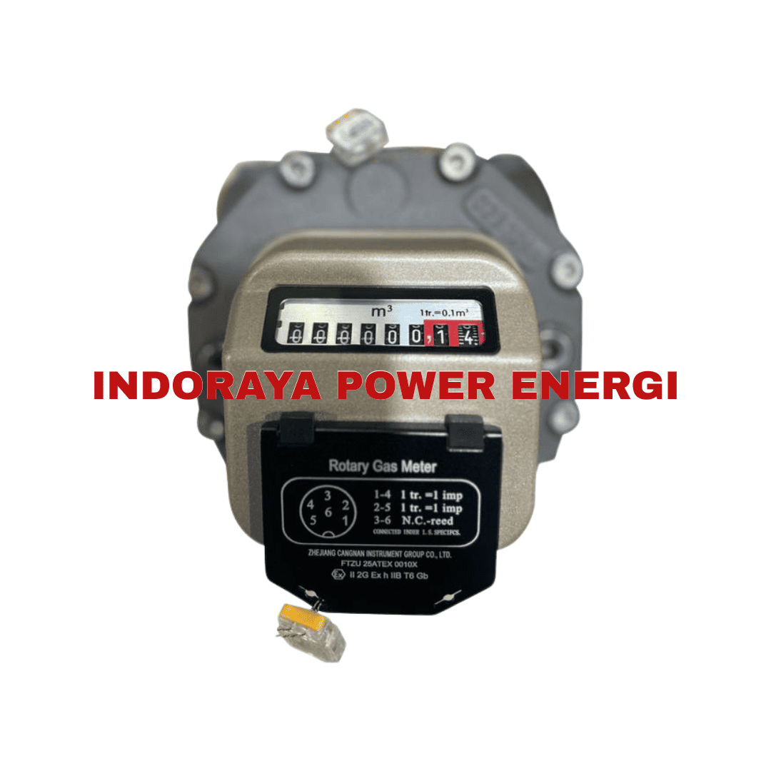 Rotary Gas Flowmeter Cangnan RM-50-G40-ANSI150