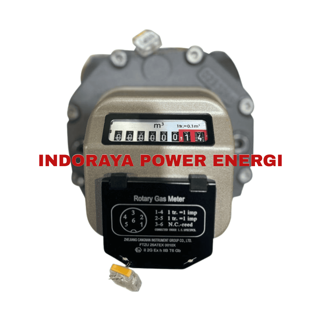 Rotary Gas Flowmeter Cangnan RM-50-G65-ANSI150