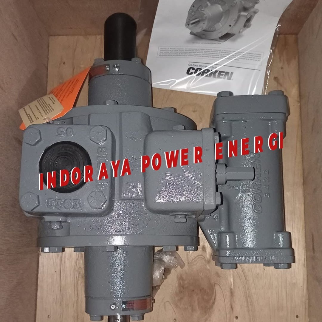 Vane Pump Corken PZ10 + Strainer